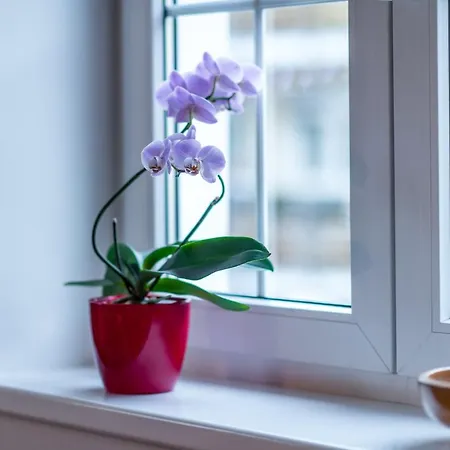 Chopin * Mariánské Lázně