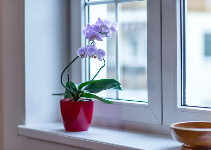 Chopin * Marianske Lazne